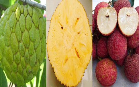 5 loại trái cây không hạt 'làm mưa làm gió' trên thị trường