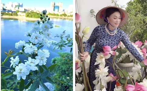 View hồ triệu đô ngập sắc hoa của nghệ sĩ Hương Dung - vợ thứ trưởng quyền lực trong "Chạy án"
