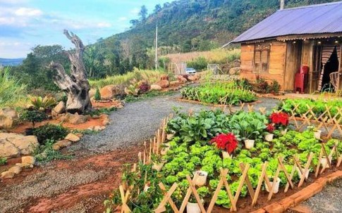 Do dịch Covid-19 phải cách ly ở Lâm Đồng, đôi vợ chồng trẻ chi tiền cải tạo nơi ở thành góc 'sống ảo' ai cũng mê
