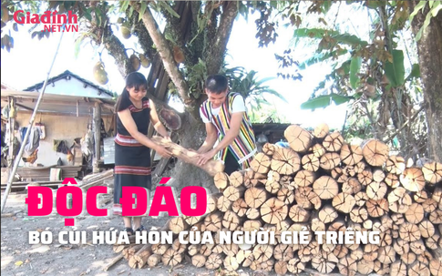 Bó “củi hứa hôn” trong đám cưới của người Giẻ Triêng đặc biệt như thế nào?