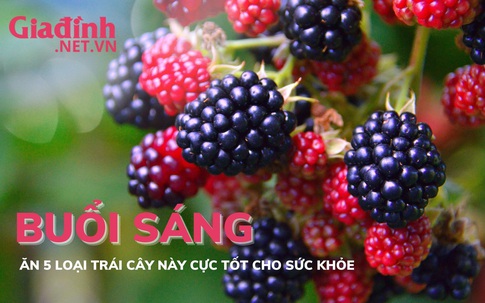 Buổi sáng ăn 5 loại quả này cực tốt cho sức khỏe