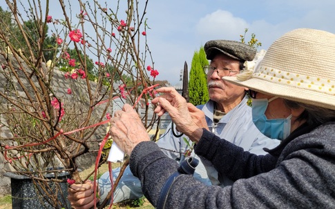 Vì dịch COVID-19, người Hà Nội chỉ ra nghĩa trang dịp cận Tết