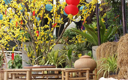 Bán mảnh đất được 2 tỷ, bố họp gia đình tuyên bố điều bức xúc