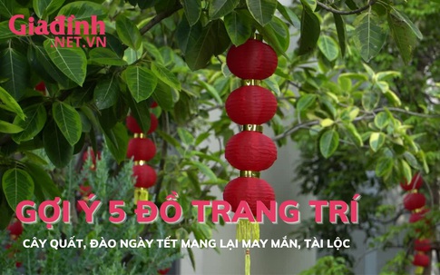 Gợi ý 5 đồ trang trí cây quất, đào mang lại may mắn và tài lộc trong năm mới