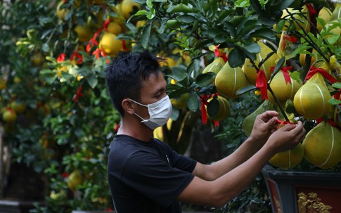 Bưởi Diễn ở TP HCM 'cháy hàng' dịp Tết Nguyên đán