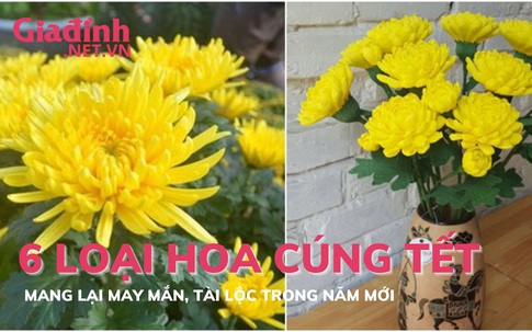 6 loại hoa cúng tết mang lại may mắn và tài lộc
