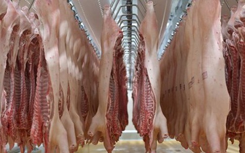 Giá thịt lợn sẽ biến động thế nào trong dịp Tết, chuyên gia dự báo điều khó tin