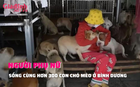 Người phụ nữ dành trọn thời gian sống cùng hơn 300 con chó mèo tại Bình Dương