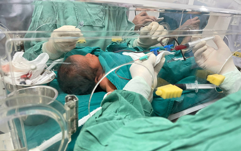 Thay máu toàn phần, bác sĩ Hải Phòng cứu bé trai sơ sinh 3 ngày tuổi