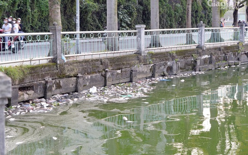 Hà Nội: Sẽ cho người dân đánh bắt để giảm mật độ cá chết ở hồ Tây