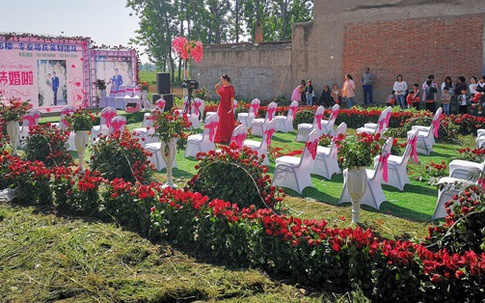 Chú rể tổ chức đám cưới ở nông thôn với 9999 bông hồng đỏ