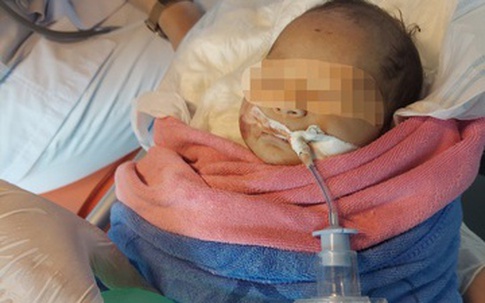 Xót xa bé gái sơ sinh bị bỏ rơi giữa rừng tử vong sau 2 ngày điều trị