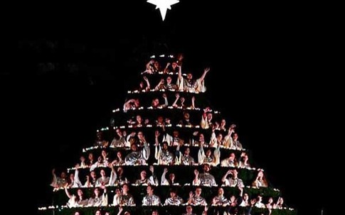 Những cây thông Noel lạ lùng tại các trường đại học top đầu thế giới