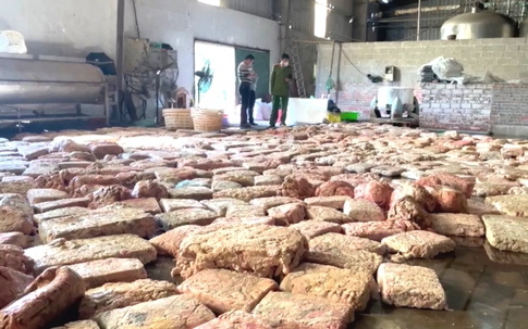 Phát hiện hơn 10 tấn lòng lợn bốc mùi hôi thối, một số được ngâm trong dung dịch lạ tại cơ sở do người Trung Quốc làm chủ
