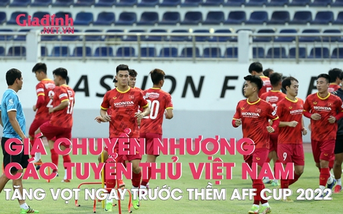 Giá trị chuyển nhượng của các cầu thủ đội tuyển Việt Nam tăng vọt ngay trước thềm AFF Cup 2002