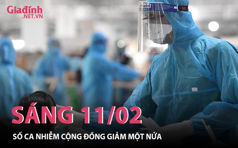 Sáng 11/02: Số ca cộng đồng giảm một nửa 