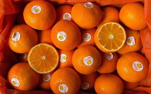 Giữa lúc cam, quýt giá tăng giá, nhiều loại trái cây sang chảnh rẻ bất ngờ