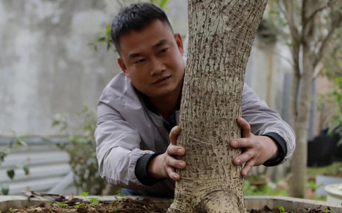 Đại gia Hà thành xây cổng cao 4 mét, lắp 42 mắt thần bảo vệ vườn 'củi khô' tiền tỷ