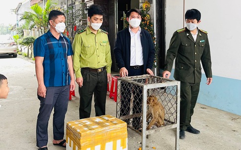 Người đàn ông ở Hà Tĩnh mua 2 cá thể động vật quý hiếm thả về rừng