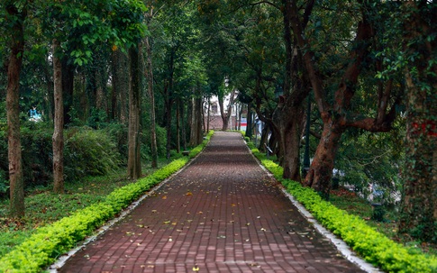 Đẹp ngỡ ngàng tuyến phố đi bộ mới của Hà Nội bao quanh Thành cổ gần 200 tuổi 