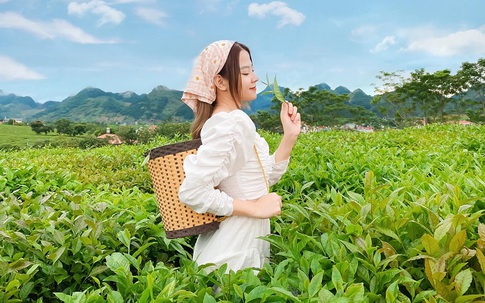 Bỏ túi những "tip" nhỏ sau đây để cuộc hành trình khám phá Tây Bắc trở nên tuyệt vời