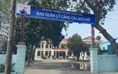 Thanh Hóa: Giám đốc cảng cá bị đình chỉ công tác do đánh bạc