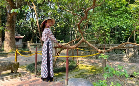 Thanh Hóa: Bí ẩn cây ổi 89 năm tuổi cứ sờ vào là "cười khúc khích" ở Khu di tích Lam Kinh