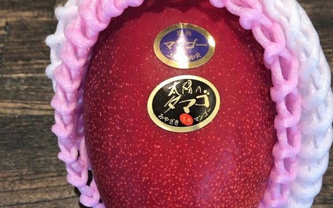 Hơn 2 triệu đồng/quả xoài màu đỏ, nhà giàu Việt chi tiền “ăn sang”