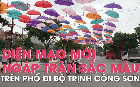 Diện mạo mới ngập tràn sắc màu trên không gian đi bộ phố Trịnh Công Sơn