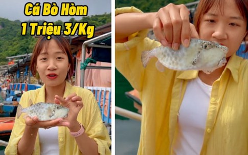 Dân mạng tranh cãi về một loài cá có giá hơn 1 triệu/kg nhỏ bằng nắm tay nhưng vị như thịt gà, "vậy sao không mua con gà hơn 200k mà ăn?"