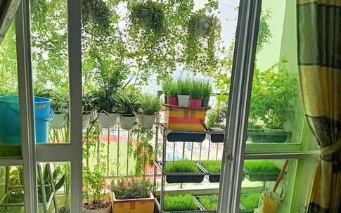 Cách tránh nắng nóng vào mùa hè cho ban công nhà hướng Tây vừa rẻ vừa hiệu quả của mẹ Sài Gòn