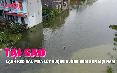 Tại sao thời tiết lạnh kéo dài, mưa lút ruộng đường sớm hơn mọi năm?