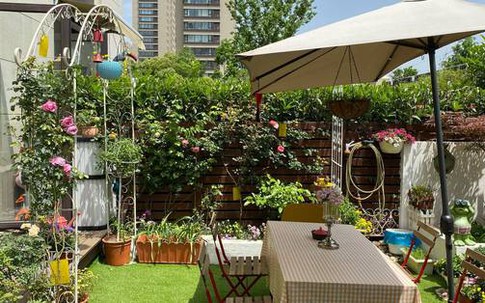 Cặp vợ chồng chi gần 200 triệu cải tạo sân vườn rộng 40m², nhìn vào thành quả mới thấy hoàn toàn đáng giá