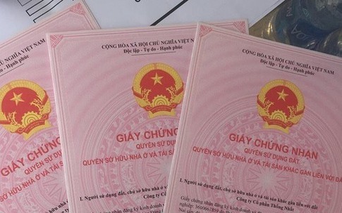 Trưởng Phòng Tài nguyên và Môi trường ở Thừa Thiên Huế bị phê bình vì "ngâm" hồ sơ