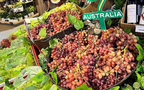 Hoa quả Úc dội chợ Việt với giá “siêu rẻ”, chỉ từ vài chục nghìn đồng/kg