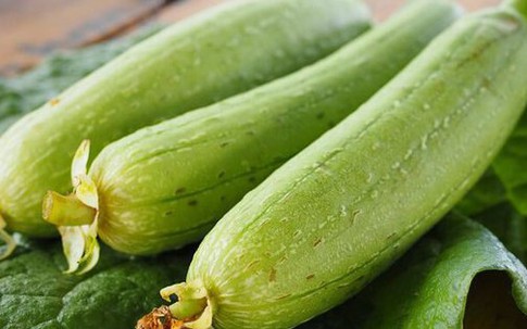 Vì sao ăn quả mướp có vị đắng dễ gây ngộ độc?