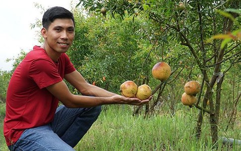 Liều trồng cây lạ, chàng trang miền Tây bất ngờ thu 1 tỷ đồng/năm