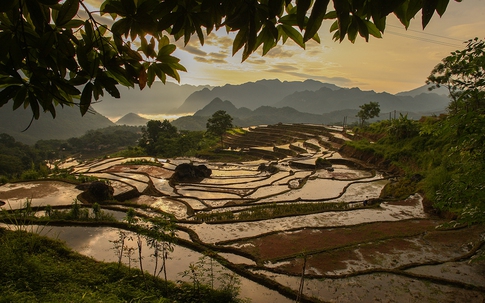 Ngắm vẻ đẹp yên bình ruộng bậc thang Pù Luông mùa đổ nước