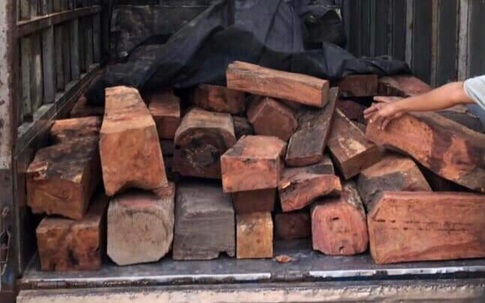 Bắt giữ phương tiện vận chuyển 1,5 tấn gỗ hương tía quý hiếm 