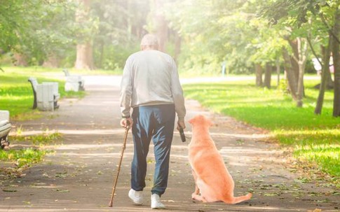 Chó cưng chết vì tuyệt thực hai ngày sau khi chủ qua đời