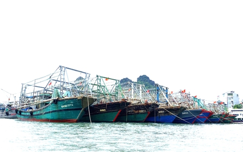Bão số 3: Quảng Ninh ngừng cấp phép phương tiện ra khơi; Hải Phòng lên nhiều phương án ứng phó