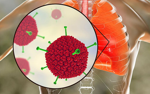 Thực hư virus Adeno khiến 6 trẻ tử vong nguy hiểm như thế nào? Chuyên gia khuyến cáo "mọi người cần bình tĩnh!"