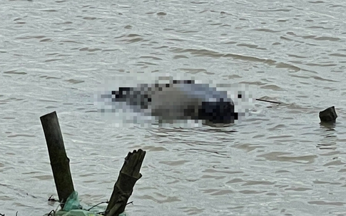 Hà Tĩnh: Phát hiện thi thể nam giới trên sông Lam