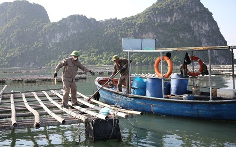 Quảng Ninh: Vì sao 4 cán bộ Đội kiểm tra trật tự đô thị và môi trường TP. Cẩm Phả bị khai trừ Đảng?