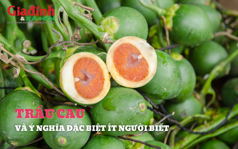 Ý nghĩa của cau trầu mà ít người biết đến trong mâm cỗ ngày Tết