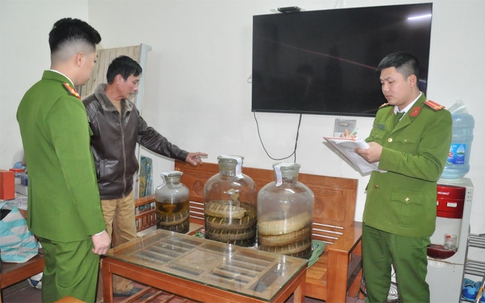 Ngâm rượu rắn hổ chúa, kỳ đà để bán, người đàn ông Hải Dương nhận kết đắng