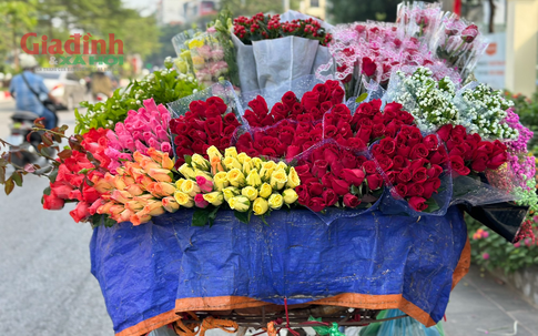 Gần ngày Phụ nữ Việt Nam 20/10, trăm hoa khoe sắc trên khắp các tuyến phố Hà Nội
