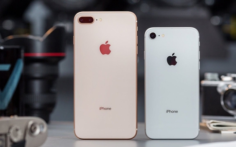 iPhone 8, 12, 13 mini giá rẻ như cho: Loại nào không nên mua?