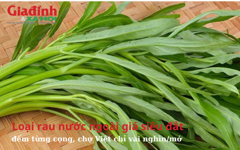 Loại rau ở nước ngoài giá siêu đắt, tính từng cọng, chợ Việt chỉ vài nghìn đồng/bó