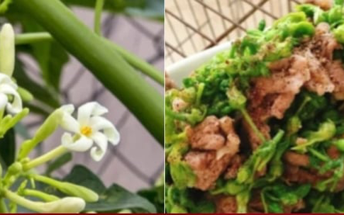 Cách chế biến các món ăn ngon từ hoa đu đủ đực